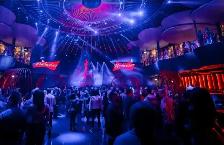 Support Staff/ Busser