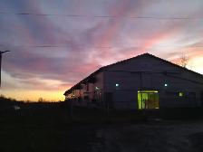 Dog Kennel Attendent