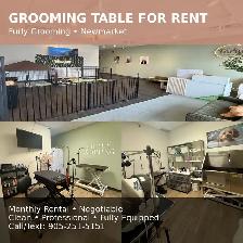 Grooming Table for Rent – Newmarket