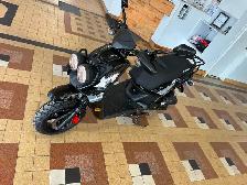 Scooters Warrior - Photo 2