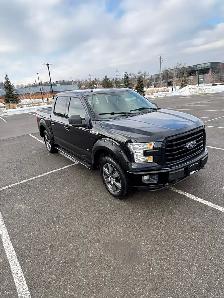 2016 Ford F-150 4WD SuperCrew 145' - Photo 15