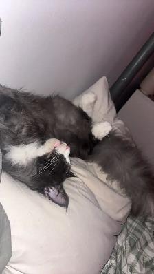 AVIS DE RECHERCHE - Photo 4