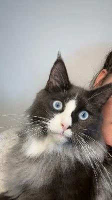 AVIS DE RECHERCHE - Photo 5