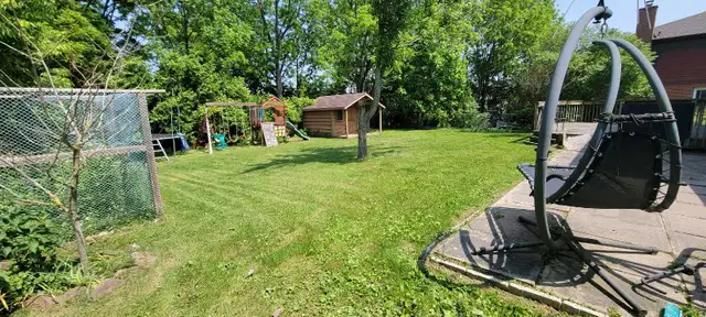 St. Thomas Lawn Care – Reliable Weekly Service Starting at $40 - Photo 4