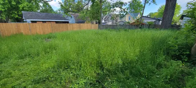 St. Thomas Lawn Care – Reliable Weekly Service Starting at $40 - Photo 5