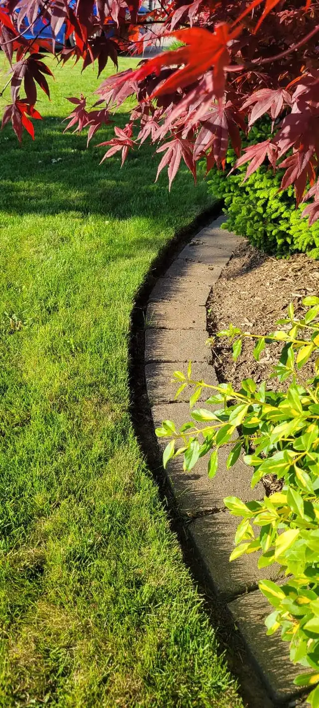 St. Thomas Lawn Care – Reliable Weekly Service Starting at $40 - Photo 8