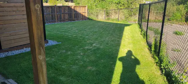 St. Thomas Lawn Care – Reliable Weekly Service Starting at $40 - Photo 9