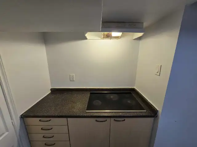 2-bedroom bright spacious basement apartment Markham - Photo 4