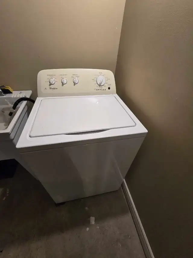 2-bedroom bright spacious basement apartment Markham - Photo 10