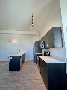 ✨1 BR LOFT | ALL UTILITIES   WIFI INCLUDED | EXCHANGE DISTRICT - Photo 2