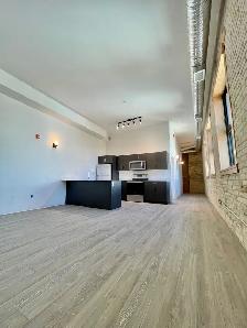 ✨1 BR LOFT | ALL UTILITIES   WIFI INCLUDED | EXCHANGE DISTRICT - Photo 4