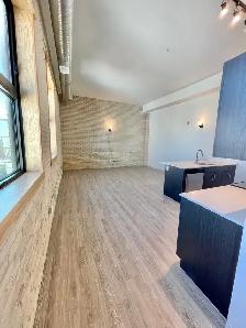 ✨1 BR LOFT | ALL UTILITIES   WIFI INCLUDED | EXCHANGE DISTRICT - Photo 5