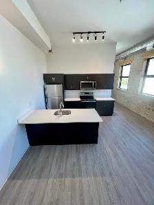 ✨1 BR LOFT | ALL UTILITIES   WIFI INCLUDED | EXCHANGE DISTRICT - Photo 6