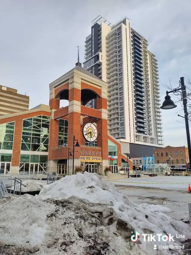 General Labourer Available!