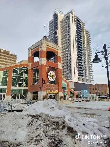 General Labourer Available!