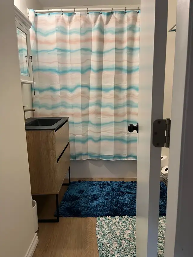 Pet Friendly 1 bed 1 bath Departure Bay - Photo 6