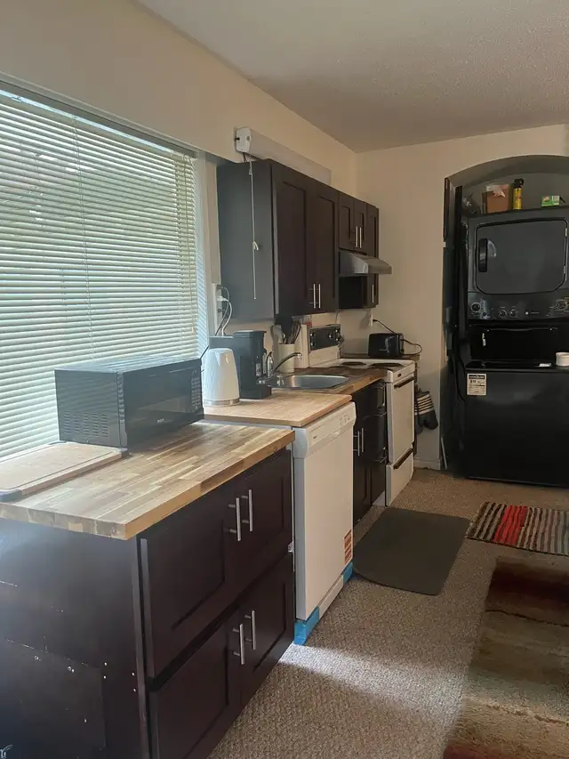 Pet Friendly 1 bed 1 bath Departure Bay - Photo 8