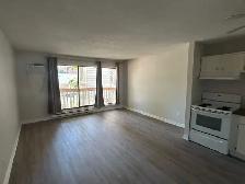 1 Bed 1 Bath Apartment with balcony - Photo 2