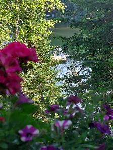 Haliburtion Highlands 3 Bedroom Cottage - Photo 2