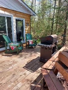 Haliburtion Highlands 3 Bedroom Cottage - Photo 10