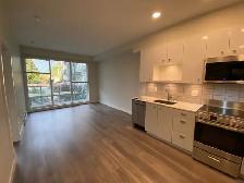 Maverick 1 Bedroom & 1 Bathroom Apartment Unit for Rent! - Photo 4