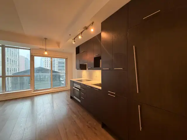 DOWNTOWN TORONO: Large 1 Den Condo For Rent with PARKING - Photo 3