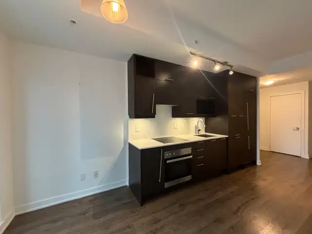 DOWNTOWN TORONO: Large 1 Den Condo For Rent with PARKING - Photo 4