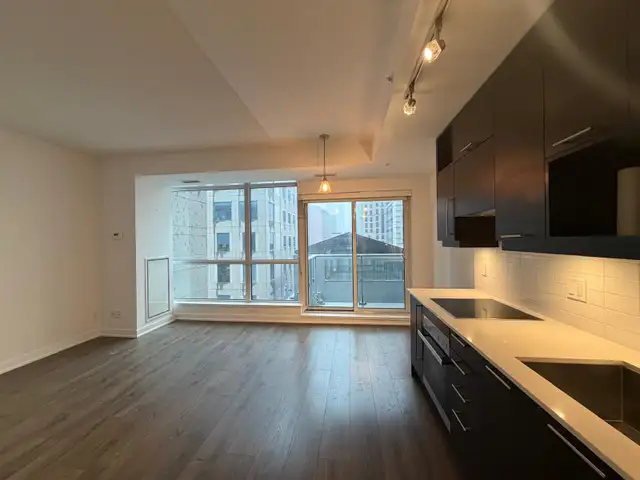 DOWNTOWN TORONO: Large 1 Den Condo For Rent with PARKING - Photo 5
