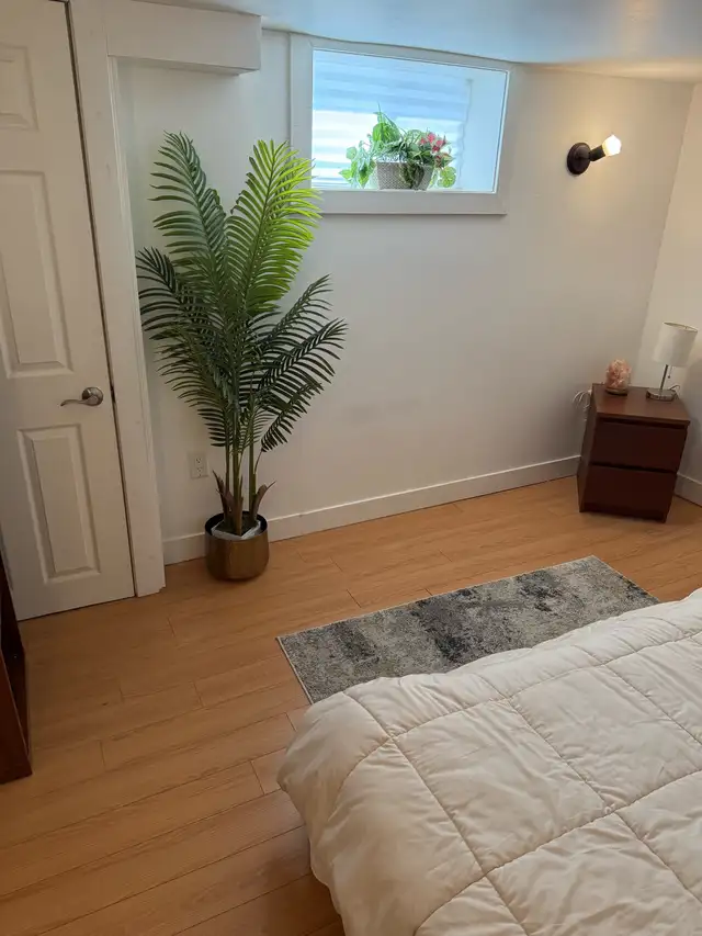 Basement Apartment For Rent/Vaughan - Photo 7