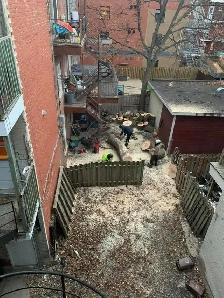 Service d'émondage / abattage / coupe d'arbres - 514-715-2726 - Photo 6