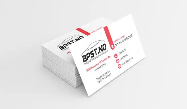 1000 Business Cards for $39 Including Free Shipping In 4-6 Days! - Photo 8