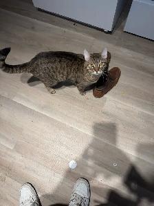 can for rehome - Photo 2