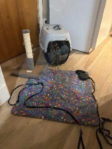 can for rehome - Photo 3