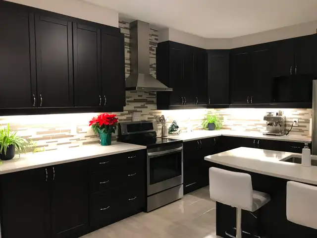 Executive 4BDRM Luxury Mansion For RENT April 1, 2026 - Photo 5