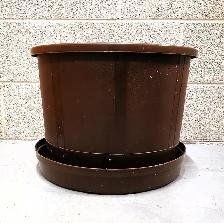 Extra Large Flower Pot with Tray