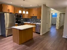 1 bedroom basement suite in Varsity View