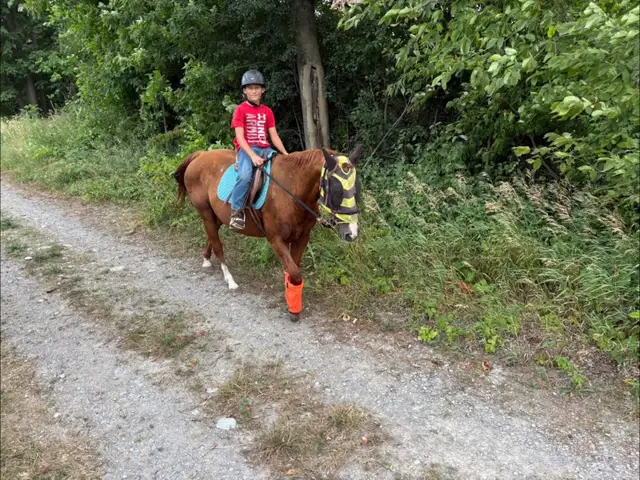 Horse Camp - Photo 3