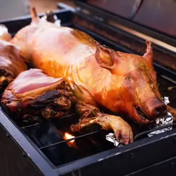 FREE PIG for ROASTING Please call or txt