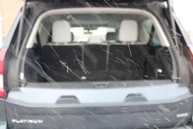 2025 Ford Expedition Platinum Max - Photo 8