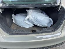 2016 Ford Focus - Photo 17