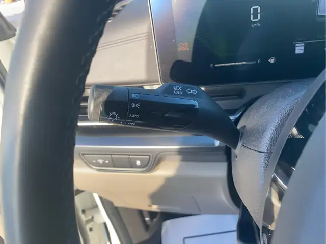 2025 Kia Carnival - Photo 23