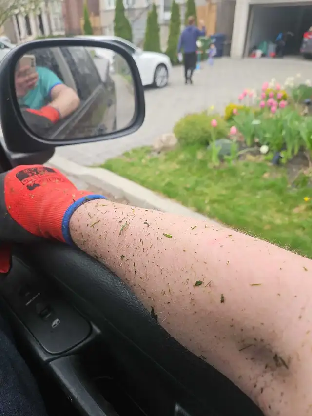 CHEAP LABOUR FOR HIRE FOR TODAY AND FRIDAY! 647-571-9326 - Photo 2