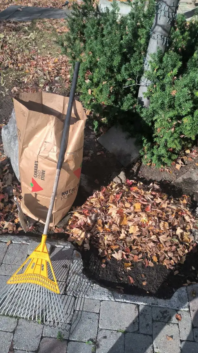 CHEAP LABOUR FOR HIRE FOR TODAY AND FRIDAY! 647-571-9326 - Photo 5