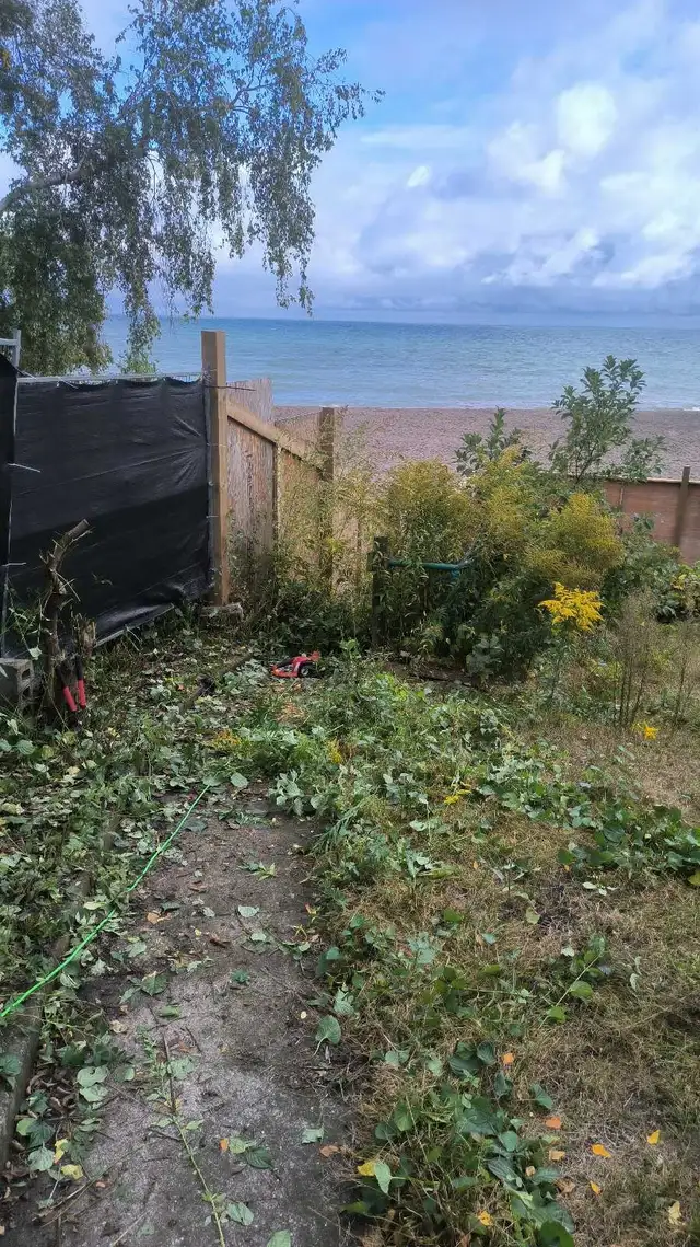 CHEAP LABOUR FOR HIRE FOR TODAY AND FRIDAY! 647-571-9326 - Photo 7