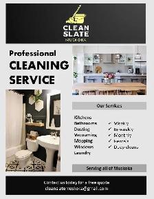 Professional Cleaning Services