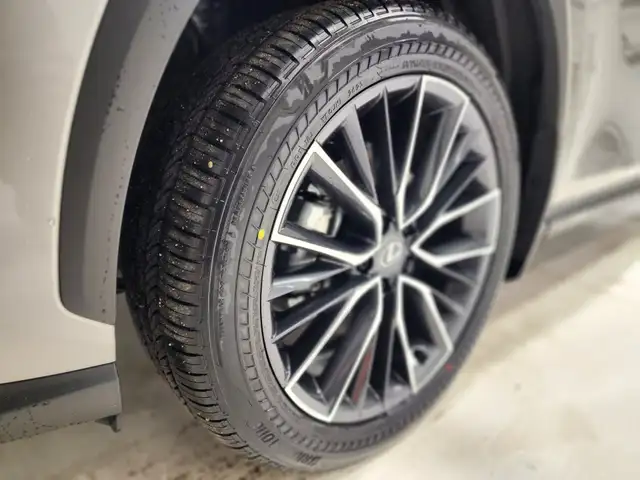 2022 Lexus NX 350 Executive Package - Low Mileage - Photo 5