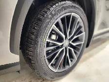 2022 Lexus NX 350 Executive Package - Low Mileage - Photo 5