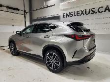 2022 Lexus NX 350 Executive Package - Low Mileage - Photo 6