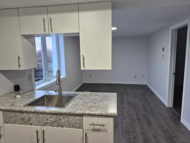 1 bedroom apartment for rent - Photo 4