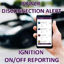 Wired GPS Tracker (MARKHAM Pickup) - Photo 6